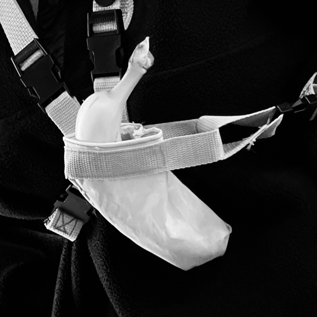 Bannana holder worn on body close up